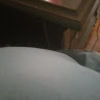 fatimah_shareef